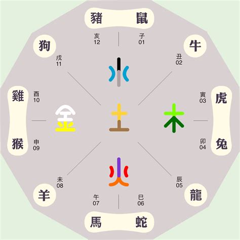 君字五行|君字的五行属性是什么